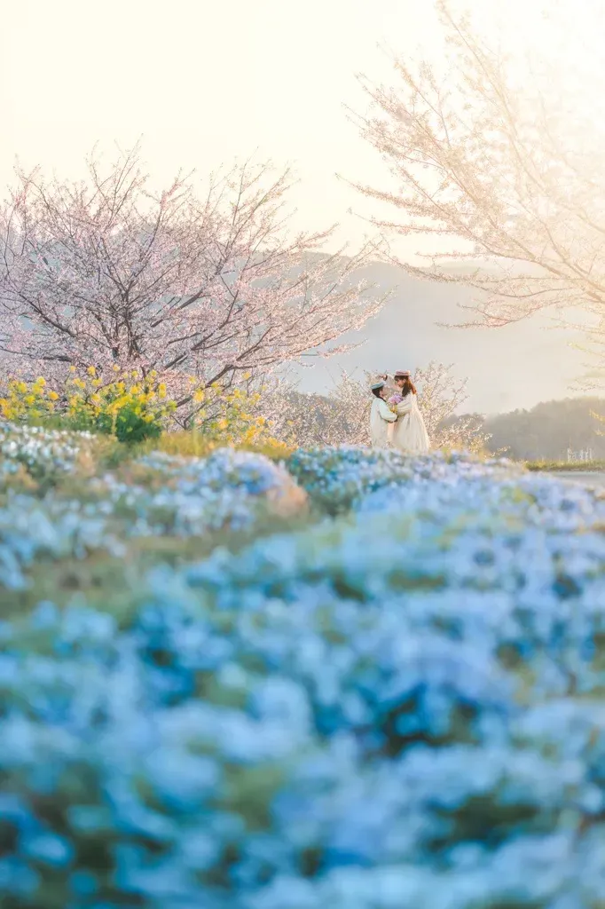 ネモフィラブランコとフラワーアート2026