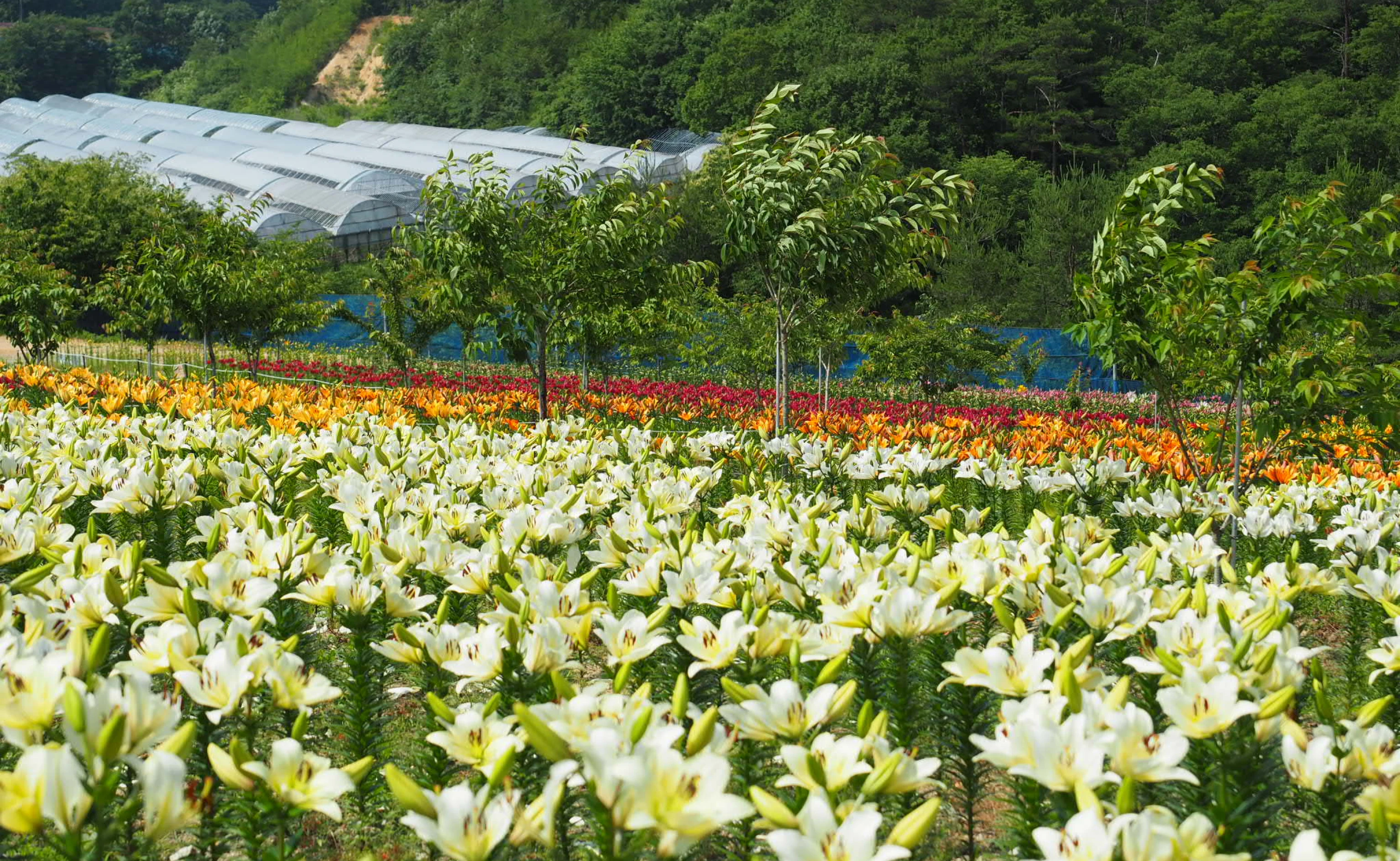 メインヴィジュアル